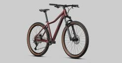 Radon ZR Lady 7.0 -Vélo Soldes 2022 ZR LADY 7 0 multi detail06