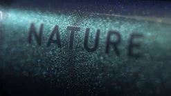 Cube Nature EXC Verde´n´black 12 Cube Nature EXC Verde´n´black -Vélo Soldes 645210 D 03