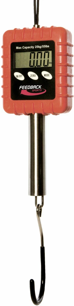 Feedback Sports Balance Numérique Alpine ABS-10