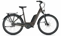 Kalkhoff Image 1.B Move