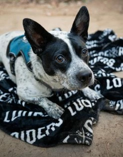 LOOSE RIDERS Bike Blanket -Vélo Soldes Loose Riders Bike Blanket Decke LR ABLK 2201 2