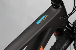 Santa Cruz Blur CC X01 AXS RSV -Vélo Soldes MY22 blur details 012