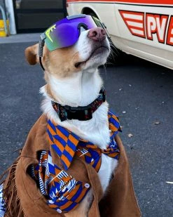 Pit Viper The Originals Lightspeed / Polarized Purple Mirror - Lunettes De Soleil -Vélo Soldes Pit Viper The Originals Lightspeed Polarized Purple Mirror Sonnenbrille PV GLA 0001 2735 4