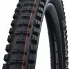 Schwalbe Big Betty Evo Super Ground 24x2,40" Addix Soft E-50 Pneus Pliants -Vélo Soldes Schwalbe Big Betty Evo Super Ground 11654323 a