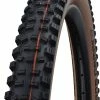 Schwalbe Hans Dampf Evo Super Trail 27,5x2,60" TLE Addix Soft Pneu Pliant 1 Schwalbe Hans Dampf Evo Super Trail 27,5x2,60" TLE Addix Soft Pneu Pliant -Vélo Soldes Schwalbe Hans Dampf Evo Super Trail 29x2 60 Addix E 25 Faltreifen 11654213 1