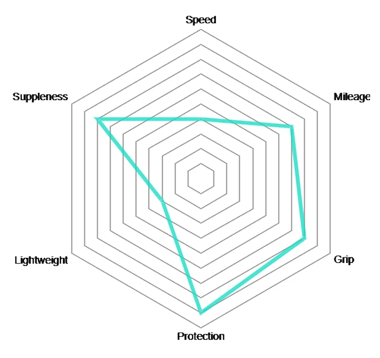 Vittoria Pneu Tubulaire Rallye 25-622 RVC 5 Vittoria Pneu Tubulaire Rallye 25-622 RVC – Image 3