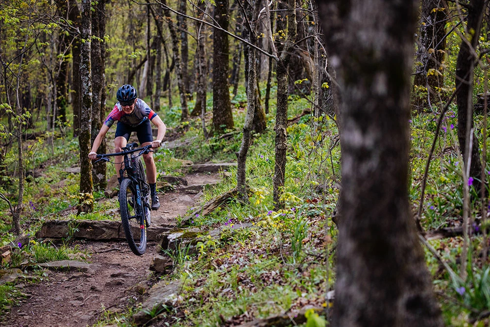 Santa Cruz Blur C S 4 Santa Cruz Blur C S – Image 2